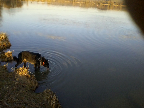 med_Durst!.jpg (600 x 450)